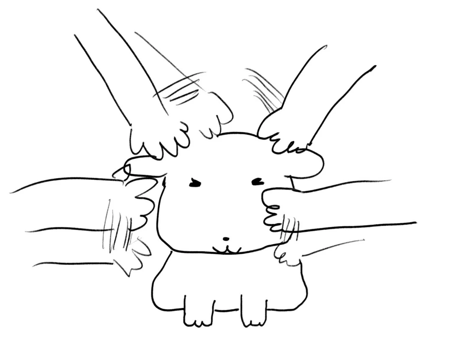 본문 이미지